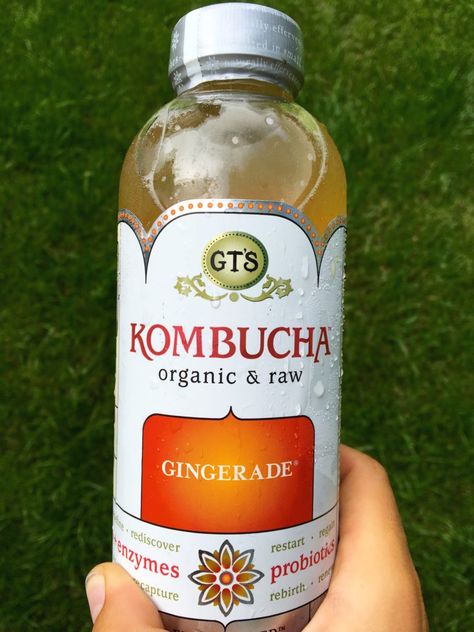 The 5 Best Bottled Kombuchas, Ranked Benefits Of Kombucha, Best Kombucha, Make Your Own Kombucha, Kombucha Bottles, Kombucha Benefits, Kombucha Scoby, Kombucha Recipe, Aip Paleo Recipes, Fermented Pickles