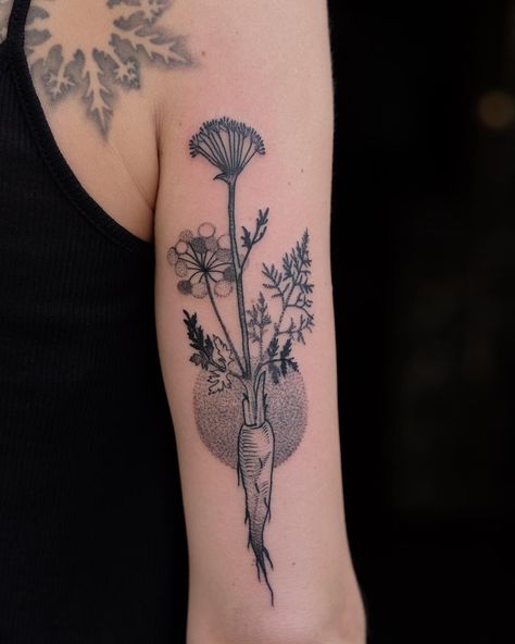 G A B R I E L F R A N K on Instagram: “I would love to do more #vegetables like this #carrot. _____ Thanks @airie.s. _____ #gabrielfranktattoo #groberunfug #ravensburg…” Vegetable Garden Tattoo, Carrot Tattoo Black And White, Fruit And Vegetable Tattoo, Vegetable Tattoo Ideas, Botanical Vegetable Tattoo, Veggie Tattoo, Beet Vegetable Tattoo, Carrot Tattoo, Vegetable Tattoo