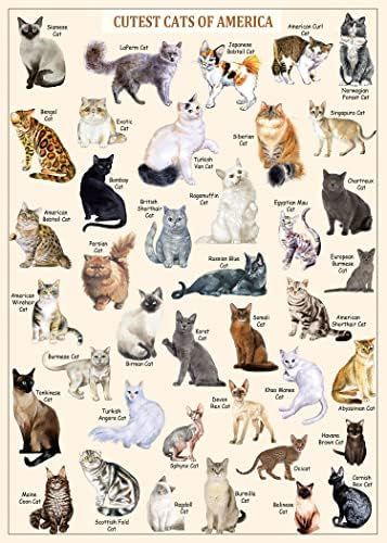 Cat Puzzles for Adults 1000 Pieces and Up,Vintage Kitty Puzzles for Adults, Animal Feline Jigsaw Puzzle Kittens As Cat Lover Gift Cat Puzzle, Puzzles For Adults, Kids Gift Guide, Cat Cafe, Cat Lover Gift, Buy A Cat, Cat Lover Gifts, Jigsaw Puzzle, Cat Lover