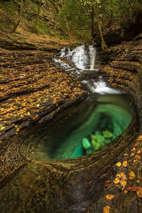 Located in Spearfish Canyon, the Devil's Bathtub is one of the most beautiful destinations while hiking anywhere. Amazing Photography, Crystal Clear, Places To Travel, Natural Beauty, Virginia, Road Trip, Around The Worlds, Pool, Water