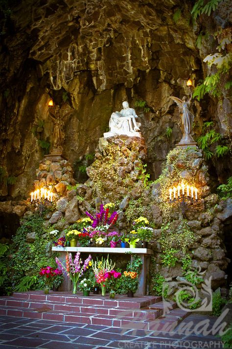 “The Grotto” It is located in Portland, Oregon and is approximately 30 feet. “ Greenhouse Terrace, Travelling America, Mary Grotto, Catholic Garden, Winter Rest, Portland Oregon Photography, Pnw Trip, Pnw Adventures, Oregon Adventures