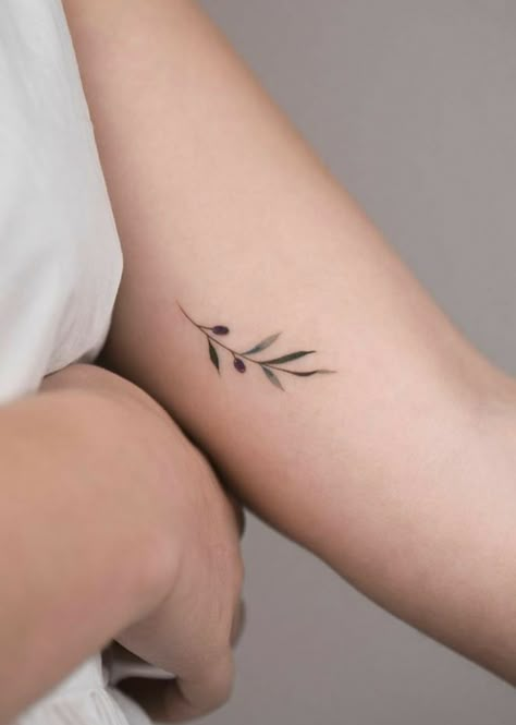 Olive Tree Tattoos, Olive Tattoo, Olive Branch Tattoo, See Tattoo, Simple Tattoos For Women, Branch Tattoo, Greek Tattoos, Modern Tattoos, Subtle Tattoos