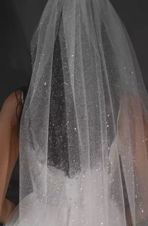 Veils Bridal Glitter, Glittery Wedding Veil, Sparkling Veil Wedding, Wedding Veils Sparkly, Sparkly Cathedral Veil, Sparkle Veil Wedding, Cute Wedding Veil, Aesthetic Wedding Veil, Sparkly Veil Wedding