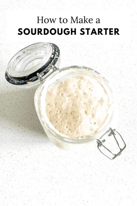 How to Make a Sourdough Starter - Plum Branch Home Best Sourdough Starter, Easy Sourdough Starter, Best Sourdough Starter Recipe, Bread Cloche, Make A Sourdough Starter, Sourdough Cinnamon Rolls, Sourdough Bread Starter, Sourdough Pancakes, Starter Recipe