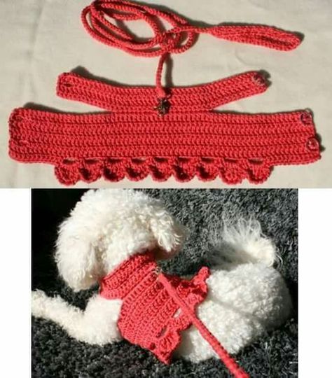 Crocheted Dog, Crochet Dog Clothes, Dog Sweater Crochet Pattern, Dog Sweater Pattern, Cat Clothing, Crochet Dog Patterns, Crochet Dog Sweater, Dog Clothes Diy, Small Dog Clothes