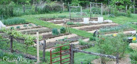 When the best place you have to grow veggies and herbs is a sloping hillside, you can terrace your way to a garden that’s beautiful, productive, and reasonably easy to maintain... Garden On A Slope, Terraced Vegetable Garden, Vegetable Garden Beds, Elevated Gardening, Vegetable Garden Planner, Winter Vegetables Gardening, Raised Vegetable Gardens, Hillside Garden, Vegetable Garden Raised Beds