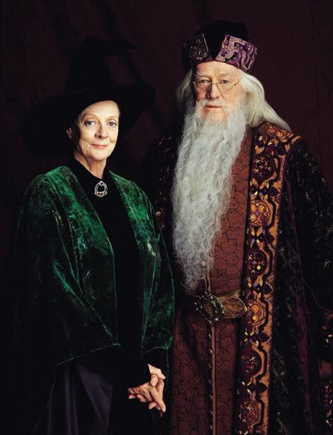 Sdds desse Dumbledore❤ Harry Potter Dumbledore, Harry Potter Wall, Harry Potter Cosplay, Harry Potter Images, The Sorcerer's Stone, Maggie Smith, Harry Potter Pictures, Harry Potter Films, Albus Dumbledore