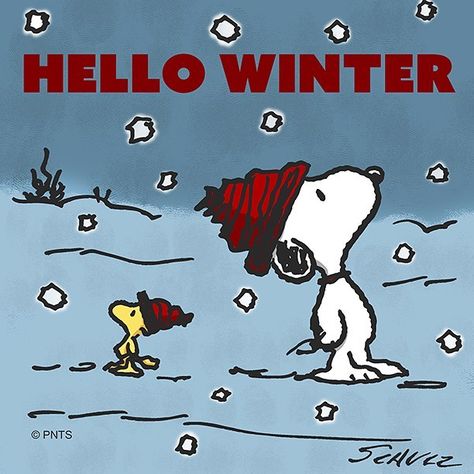 Hello Winter Snoopy Winter, Winter Make Up, Goodbye Winter, Peanut Gang, Woodstock Snoopy, First Day Of Winter, Snoopy Funny, Welcome Winter, Peanuts Cartoon