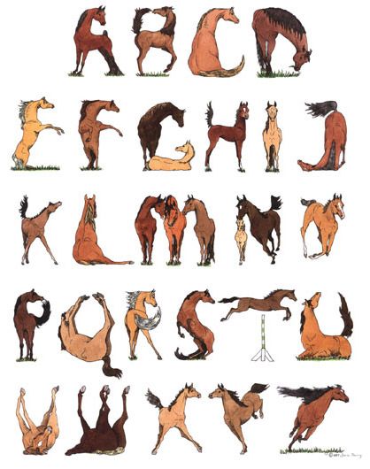 Horse Alphabet Poster Different Horse Breeds, A Level Art Sketchbook, Horse Posters, Horse Videos, Horse Drawings, Funny Horse, Artist Interview, Alphabet Art, Alphabet Poster