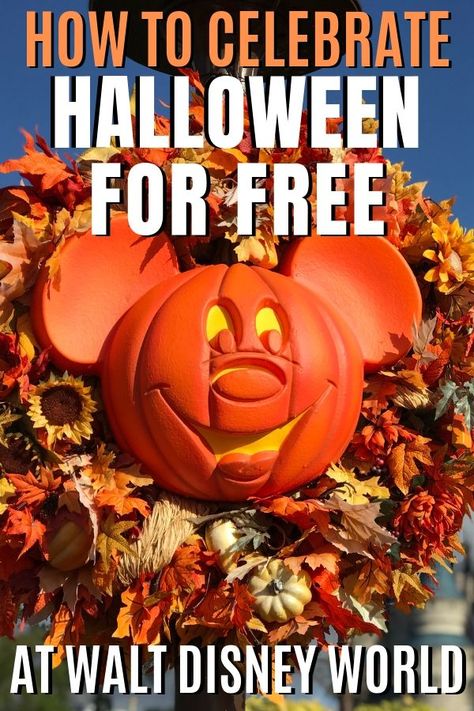 Disneyworld Tips, Halloween Party Planning, Disney World Halloween, Travel Disney, Disney Honeymoon, Not So Scary Halloween Party, Not So Scary Halloween, Florida Destinations, Halloween Disney