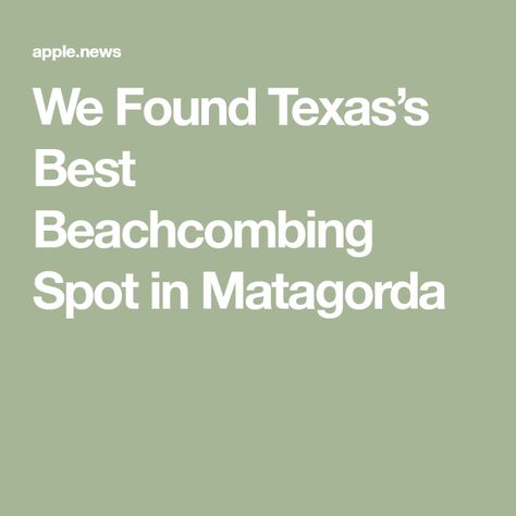 We Found Texas’s Best Beachcombing Spot in Matagorda Texas Monthly, Seaside Town, Seaside Towns, The Seaside, Dolphins, Bungalow, Texas