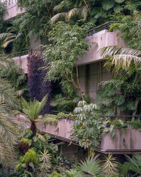 Barbican Conservatory, Models Architecture, The Barbican, Concept Models Architecture, Eco Architecture, Architectural Photographers, Green Architecture, Mountain Trails, Brutalist Architecture