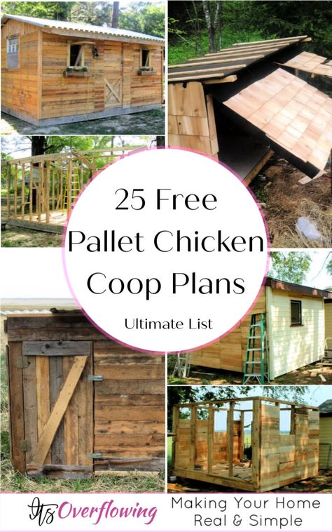 25 Pallet Chicken Coop Plans To Save Your Money Pallet Chicken Coop Plans, Chicken House Plans, Pallet Chicken Coop, Pallet Coop, Easy Diy Chicken Coop, Hen Houses, Chicken Coop Plans Free, Chicken Coop Blueprints, Cheap Chicken Coops