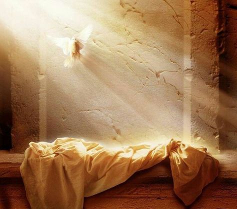 He Is Risen, a faith message about the One who paid he ultimate price out of love for you. Tabernacle Of Moses, Blessed Easter, Resurrection Day, Jesus Is Risen, Resurrection Sunday, Bible Pictures, Jesus Resurrection, Jesus Christ Images, Divine Mercy