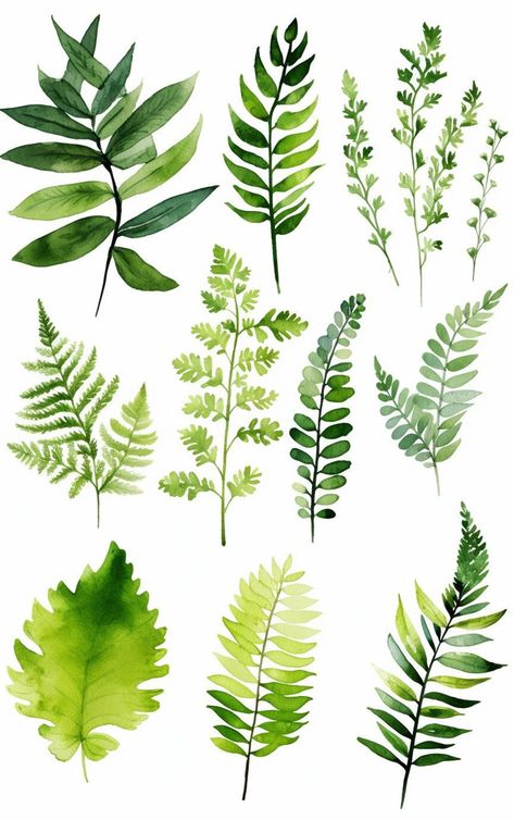 This Clip Art & Image Files item by VientoDesign has 15 favorites from Etsy shoppers. Ships from United States. Listed on Jan 7, 2024 Forest Leaves, Plant Clips, Foliage Wedding, Illustration Botanique, Fern Plant, Watercolor Images, Watercolor Leaves, Wedding Invitation Design, Watercolor Clipart