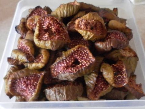 Fig Nutrition Facts, Dried Fig, Fig Fruit, Fig Recipes, Dried Figs, Fresh Figs, Dehydrated Food, Dehydrator Recipes, Fruit Snacks