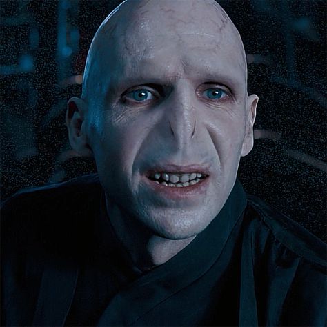 Voldemort And Bellatrix, Harry Potter Villains, Harry Potter Voldemort, Fantastic Beasts Movie, Bald Cap, Snape Harry Potter, Snape Harry, Ralph Fiennes, Lord Voldemort