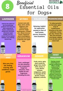 Essential Oils That Are Safe For Dogs, Pet Safe Essential Oils, Essential Oils Safe For Dogs, Dog Safe Essential Oils, Mattress Spray, Essential Oils For Dogs, Essential Oils Dogs, Myrrh Essential Oil, Are Essential Oils Safe