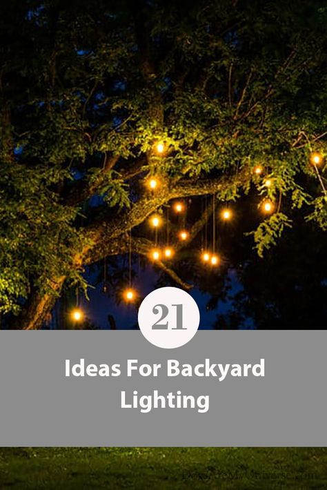 Lights On Playground, Outdoor Tree Lights Backyards, Tree Lighting Ideas Outdoor, Big Backyard Lighting Ideas, Front Yard Solar Lights, Tree Solar Lights Outdoor, Garden Tree Lighting Ideas, Sidewalk Lights Walkways, Outdoor Mood Lighting