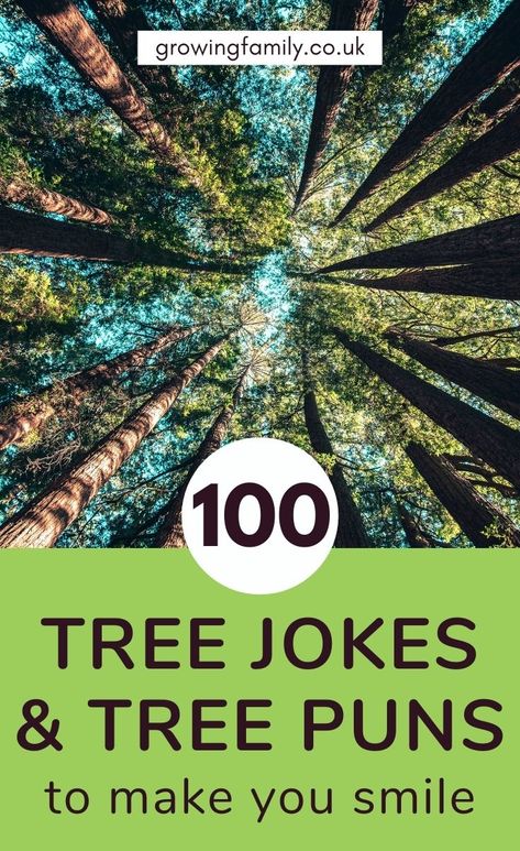 Tree puns and tree jokes for nature-inspired giggles - Growing Family Tree Jokes, Christmas Tree Jokes, Dirty Christmas Jokes, Spring Jokes, Tree Puns, Nature Puns, Funny Math Quotes, Christmas Jokes For Kids, Funny Christmas Jokes