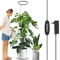 Indoor Plant Lights, Plant Lamp, Grow Lamps, Greenhouse Plants, Grow Lights For Plants, Plant Lighting, Grow Light, Tall Plants, Led Grow