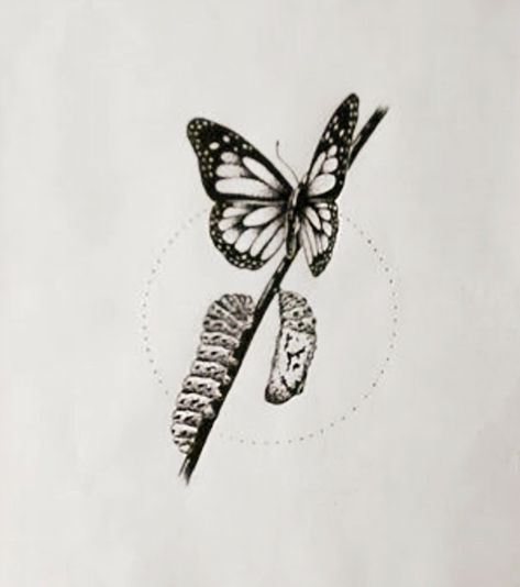 Metamorphosis Tattoo Ideas, Catapillar Butterfly Tattoo, Butterfly Metamorphosis Tattoo, Metamorphosis Tattoo, Caterpillar Tattoo, Tattoo Borboleta, Evolution Tattoo, Borboleta Tattoo, Butterfly Transformation