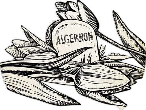 Flowers for Algernon Flowers For Algernon Tattoos, Flowers For Algernon Aesthetic, Flores Para Algernon, Flowers For Algernon, Book Tattoo, Ex Libris, Cool Tattoos, Tattoos, Flowers