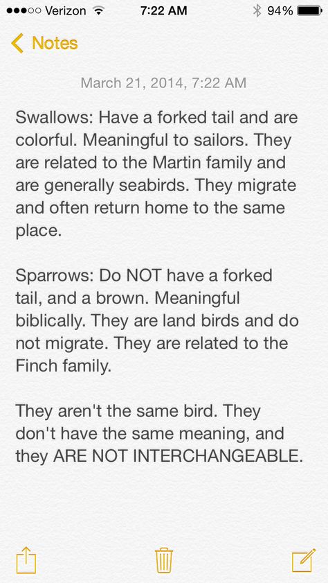 Sparrows vs. swallows Sparrow Vs Swallow Tattoo, Sparrow Tattoos, Sparrow Tattoo, Swallow Tattoo, Sparrow Bird, Self Expression, Sparrows, Family Tattoos, Swallows