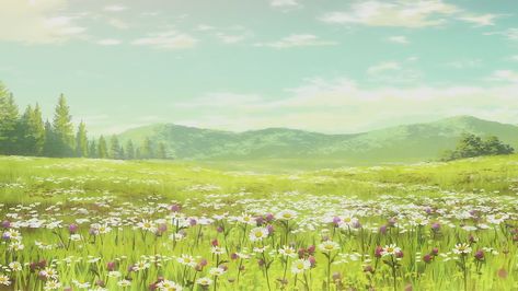 Gacha Backgrounds Outside, Anime Wallpaper 1920x1080, Anime Flower, Gacha Background, Field Wallpaper, Background Anime, Gacha Backgrounds, Scenery Background, Background Drawing