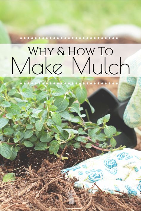 Mulching is an important step in gardening. By applying mulch to your vegetable beds and flower beds you will spend less time watering, weeding and have fewer pest problems. There are different types and you can even learn how to make mulch from everyday household items. #mulch Vegetable Garden Mulch, Christmas Makeup Looks Simple, Creative Christmas Makeup, Christmas Eyeliner, Eyeliner Creative, Simple Christmas Makeup, Christmas Makeup Looks, Vegetable Beds, Garden Mulch