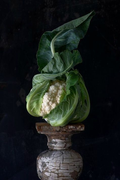 White Eggplant, Vegetable Drawing, Fairy Flowers, Garden Tags, Food Art Photography, Stone Soup, Unique Vegetables, Edible Arrangements, Fall Fruits