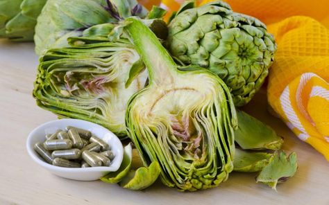 Artichoke Extract Benefits For Health And Wellness - Gundry MD Artichoke Tea Benefits, Benefits Of Artichokes, Health Benefits Of Artichokes, Artichoke Benefits, Jeruselum Artichoke, Fried Artichoke Hearts, Artichoke Extract, Artichoke Cooking Instructions, Artichoke Plants