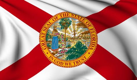 Florida State Flag Seminole Tribe, Seminole Wars, Florida State Flag, Florida History, Florida Flag, Us Flags, Spanish Conquistador, Florida Orlando, Facts For Kids