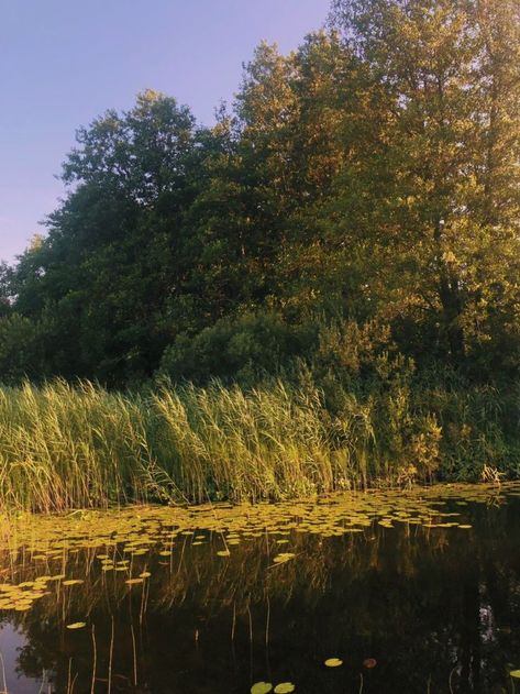 Dreamy and fairytale like cottage core photo Lake Aesthetic, Make It Through, Cottage Core, Cottage, Lake, Natural Landmarks