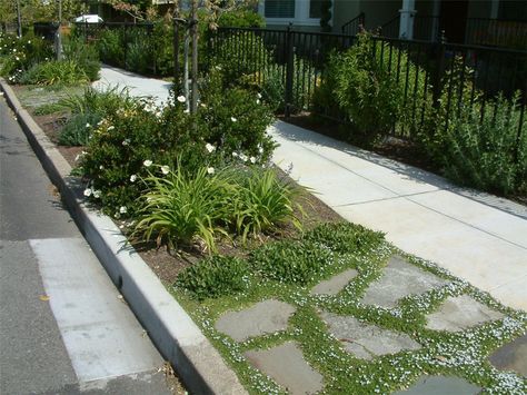 Pavers and Ground Cover on Parkway Parking Strip Ideas, Road Verge Landscaping, Park Strip Landscaping Utah, Boulevard Landscaping, Parking Strip Landscaping, Parkway Landscaping, Curbside Landscaping, Sidewalk Garden, Sidewalk Landscaping