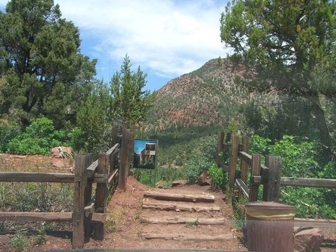 Taylor Creek- Middle Fork – Kolob Canyons - Hike St George Big South Fork National Park, Watkins Glen Gorge Trail, Kolob Canyon, West Fork Oak Creek Trail, St. Croix Buck Island, Fish Creek Falls Steamboat Springs, Honeymoon Spots, Water Sources, National Park Vacation