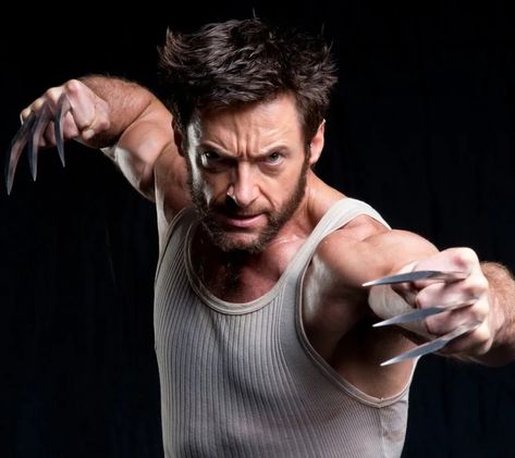 Wolverine Xmen, Wolverine Movie, Wolverine Art, The Wolverine, Deadpool Comic, Wolverine Hugh Jackman, Happy Navratri Images, Logan Wolverine, Cat Comics