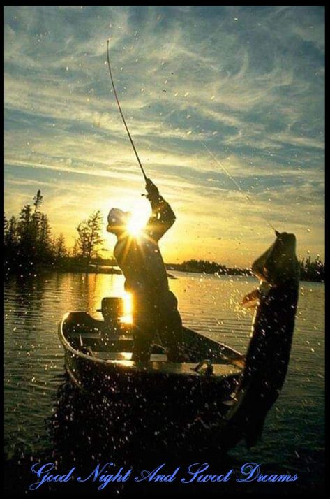 Kayak Fishing Setup, Fishing Trout, Fishing Photos, Fishing Kayak, Fishing Photography, Fly Fishing Tips, Bass Fishing Tips, Fishing Pictures, Crappie Fishing