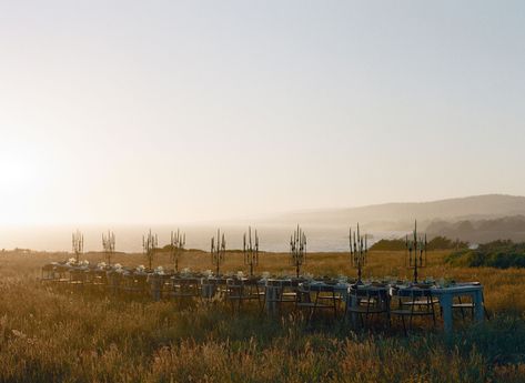 Sea Ranch Wedding Florist | HART Floral Hart Floral, Sea Ranch Lodge, The Sea Ranch, Sea Ranch, Lodge Wedding, Ranch Wedding, Wedding Board, Wedding Florist, Florist