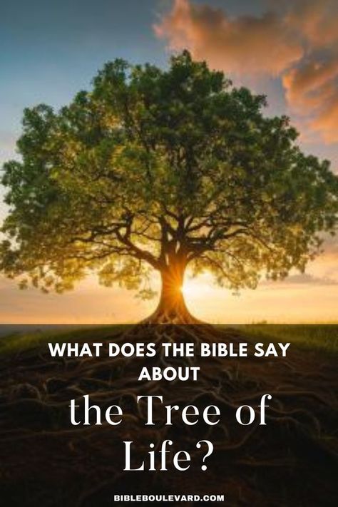 What Does the Bible Say About the Tree of Life? Tree Bible Verse, Eden Tree, The Garden Of Eden, Best Bible Verses, Bible Says, Bible Study Notebook, The Tree Of Life, Holistic Nutrition, Childrens Church