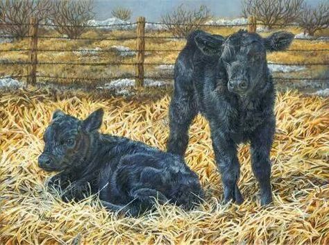 Cattle Pictures, Winter Babies, Wood Decoupage, Cow Paintings, Angus Cattle, Moo Cow, Western Artwork, Farm Paintings