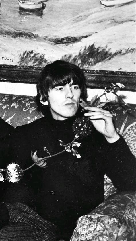 Beatles George Harrison, Beatles George, Bug Boy, Im Obsessed, Love And Peace, Paul George, The Fab Four, Ringo Starr, George Harrison