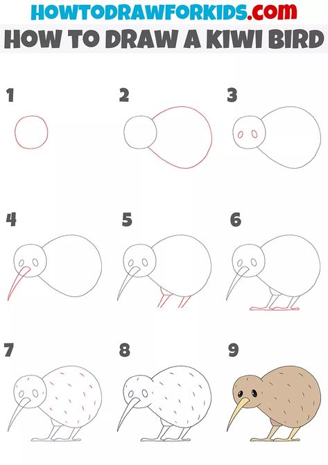 How to Draw a Kiwi Bird - Easy Drawing Tutorial For Kids How To Draw A Kiwi Bird, Kiwi Bird Drawing Easy, New Zealand Birds Drawings, Kiwi Reference, Kiwi Bird Drawing, Bird Easy Drawing, Kiwi Bird Art, Kiwi Animal, Kiwi Drawing