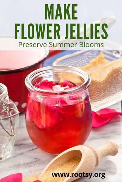 Honeysuckle Jelly, Living Seasonally, Homestead Food, Fruit Butters, Rose Jelly, Flower Jelly, Edible Flowers Recipes, Homemade Jams, Healthy Homemade Snacks