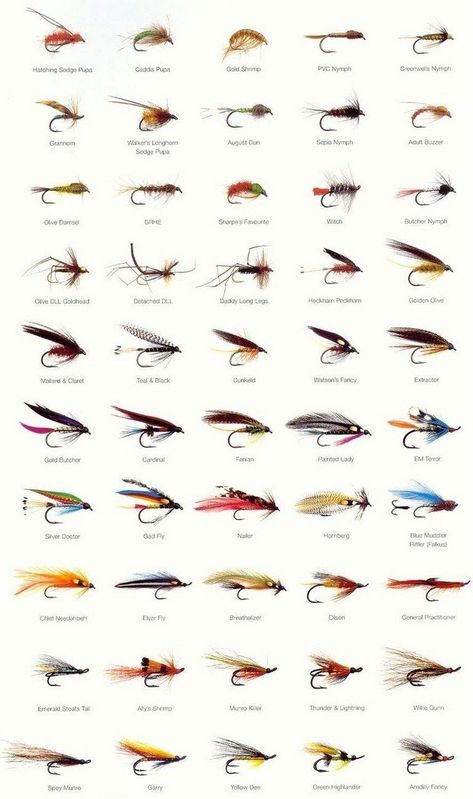 Trout Fishing Tips, Fishing Waders, Fly Fishing Lures, Fly Fishing Flies Pattern, Fly Fishing Tips, Bass Fishing Tips, Fly Fishing Gear, Fishing Flies, Fishing Techniques