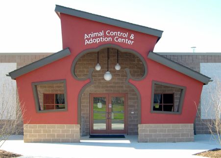 Cute entrance! Animal Shelter Design, Indoor Dog Park, Pet Store Design, Dog Boarding Facility, Dog Boarding Kennels, Dog Kennel Designs, Dog Grooming Shop, Cat Hotel, Dog Grooming Salons