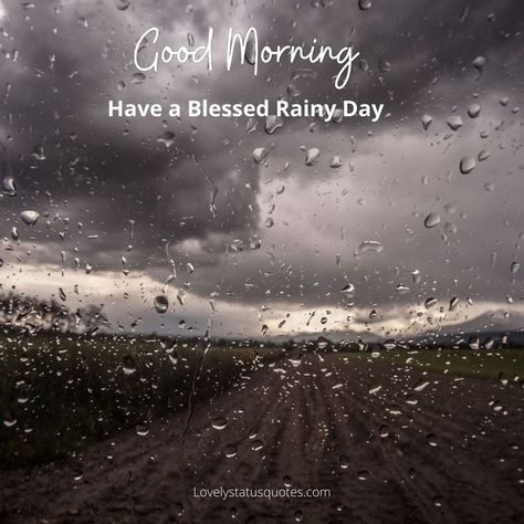 Good morning image have a blessed rainy day.. Good Morning Image, Morning Status, Inspirational Bible Verses, Good Morning Flowers, Good Morning Beautiful, Photo Quotes, Flower Photos, Good Morning Images, Morning Images