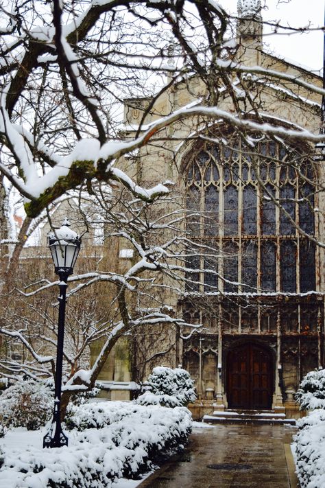 University Of Chicago Aesthetic, Harry And Sally, Winter Office, Chicago Aesthetic, College Architecture, Studying Library, Fantasy Writer, The University Of Chicago, College Aesthetic