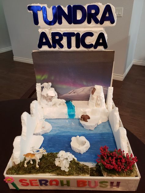 Arctic Fox Diorama, Tundra Diorama For Kids, Arctic Tundra Biome Project, Inuit Diorama, Tundra Biome Project, Artic Habitat, Antarctica Crafts, Tundra Diorama, Tundra Project