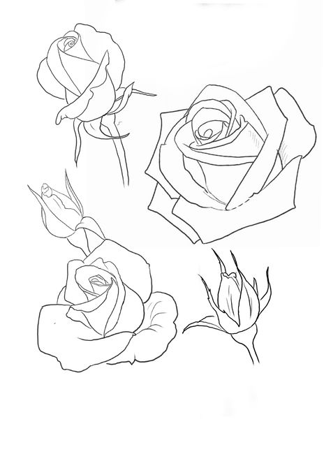 Rose Drawing Simple, Rose Line Art, Rose Outline, Rose Drawing Tattoo, Rose Sketch, Flower Line Drawings, Flower Drawing Tutorials, Chicano Drawings, Rose Illustration